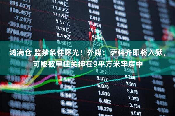 鸿满仓 监禁条件曝光！外媒：萨科齐即将入狱，可能被单独关押在9平方米牢房中