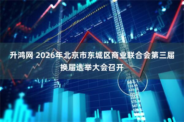 升鸿网 2026年北京市东城区商业联合会第三届换届选举大会召开